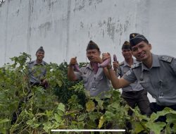 Panen Terong dan Tomat: Implementasi Akselerasi Pembinaan Kemandirian di Rutan Singkil
