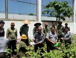 Langkah Menuju Hari Bebas: Premi sebagai Simpanan Harapan WBP