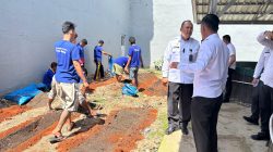 Dari Balik Jeruji, Warga Binaan Lapas Narkotika Bandar Lampung Belajar Menanam Jahe Merah
